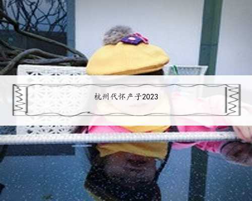杭州代怀产子2023