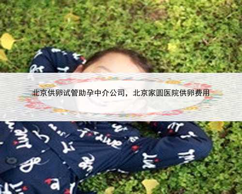 北京供卵试管助孕中介公司，北京家圆医院供卵费用